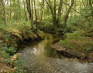 Guest house 053305 - Holiday property Limburg - Op 't Busselen