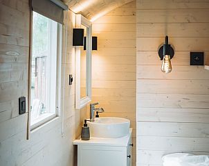 Stijlvolle wastafel in vakantiehuis in Kinrooi, Limburg, Belgi met natuurlijk licht en moderne verlichting.