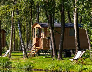 Rustieke glamping lodge in Vakantiehuis in Kinrooi, Limburg, Belgi omringd door groene natuur en serene omgeving.