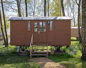 Charmant vakantiehuisje in Kinrooi, Limburg omgeven door natuur, ideaal voor een ontspannen verblijf in Belgi.