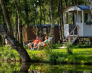 Genieten van de natuur bij Vakantiehuisje in Kinrooi, Limburg, Belgi. Ontspan op het terras van deze unieke vakantiewoning.