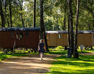 Rustige omgeving bij Vakantiehuisje in Kinrooi, Limburg. Wandelpad langs charmante vakantiehuisjes in het groene landschap.