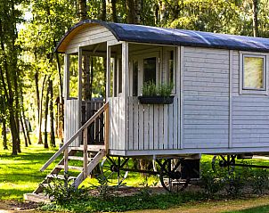 Charmante houten lodge bij Vakantiehuisje in Kinrooi, Limburg, Belgi, omgeven door groene natuur.