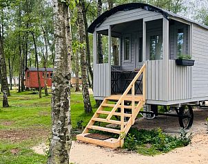 Charmant vakantiehuis in Kinrooi, Limburg omringd door bomen, biedt een rustieke natuurervaring in Belgi.