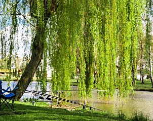 Unterkunft 053534 - Ferienhaus Limburg - Vakantiehuis Camping Papillon Kinrooi  138