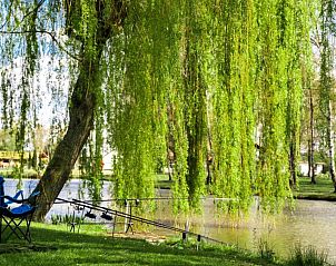 Unterkunft 053536 - Ferienhaus Limburg - Vakantiehuis Camping Papillon Kinrooi  78