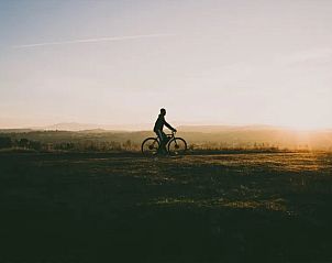 Unterkunft 053539 - Ferienhaus Limburg - Vakantiehuis Camping Papillon Kinrooi - Pipowagen 2 personen