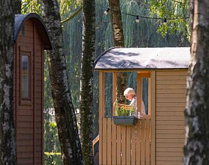 Unterkunft 053540 - Ferienhaus Limburg - Vakantiehuis Camping Papillon Kinrooi - Pipowagen 2 p. terra