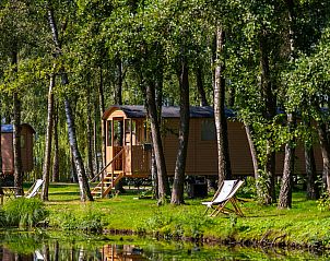 Unterkunft 053542 - Ferienhaus Limburg - Vakantiehuis Camping Papillon Kinrooi - Pipowagen 4 p. terra
