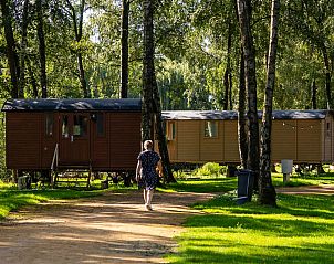 Unterkunft 053542 - Ferienhaus Limburg - Vakantiehuis Camping Papillon Kinrooi - Pipowagen 4 p. terra