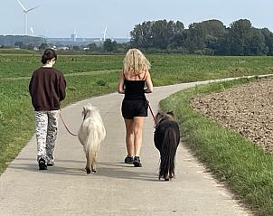 Unterkunft 054301 - Ferienhaus Limburg - De Vliergeit