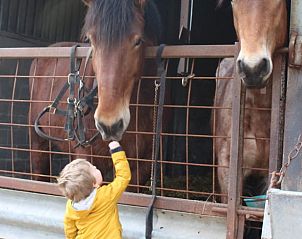 Verblijf 054507 - Vakantiewoning Limburg - Vakantiehuisje in Heers