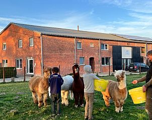 Guest house 054513 - Holiday property Limburg - de smishoeve