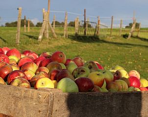 Guest house 054517 - Holiday property Limburg - Vakantiehuisje in Heers