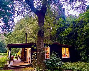 Unterkunft 0547103 - Ferienhaus Limburg - Huisje in Zutendaal