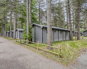 Unterkunft 0547115 - Ferienhaus Limburg - Vrijstaande woning in Zutendaal