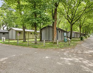 Unterkunft 0547116 - Ferienhaus Limburg - Vrijstaande woning in Zutendaal