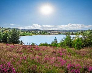Unterkunft 0547117 - Ferienhaus Limburg - Vrijstaande woning in Zutendaal