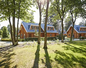 Unterkunft 0547131 - Bungalow Limburg - Mooi Zutendaal | 12-persoons bungalow | 12C