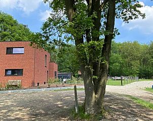 Guest house 0547163 • Holiday property Limburg • Huisje in Zutendaal 