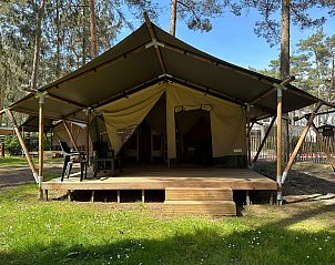 Guest house 0547165 - Holiday property Limburg - Bergerven Lodge 6