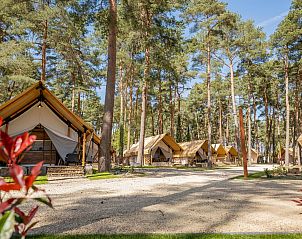 Verblijf 0547191 - Vakantiewoning Limburg - EuroParcs Hoge Kempen