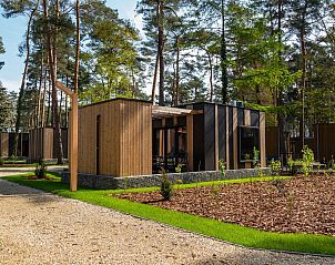 Forest Cottage 4, ein charmantes Ferienhaus in Zutendaal, Limburg, Belgien, umgeben von ruhiger Natur und hohen Bumen.