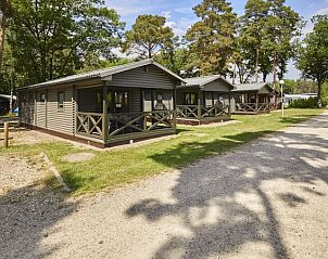Verblijf 054746 - Bungalow Limburg - Mooi Zutendaal | 4-6-persoons chalet | 4-6B1