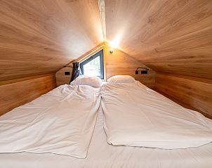 Guest house 054746 - Chalet Limburg - Chalet in Zutendaal