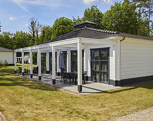 Guest house 054747 - Bungalow Limburg - Mooi Zutendaal | 4-persoons villa | 4CE