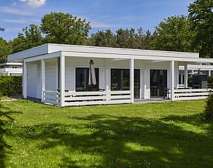 Verblijf 054748 - Bungalow Limburg - Mooi Zutendaal | 4-persoons villa | 4CJ
