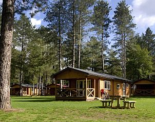 Guest house 054752 - Holiday property Limburg - Mooi Zutendaal | 4-persoons chalet | 4B1