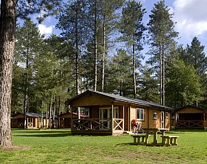 Guest house 054752 - Holiday property Limburg - Mooi Zutendaal | 4-persoons chalet | 4B1