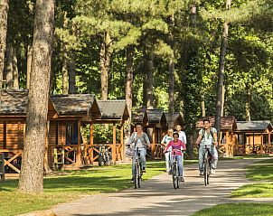 Guest house 054752 - Holiday property Limburg - Mooi Zutendaal | 4-persoons chalet | 4B1