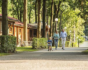 Guest house 054752 - Holiday property Limburg - Mooi Zutendaal | 4-persoons chalet | 4B1