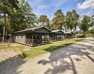 Guest house 054753 - Holiday property Limburg - Mooi Zutendaal | 4-6-persoons chalet | 4-6B1