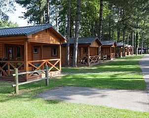 Guest house 054754 - Holiday property Limburg - Mooi Zutendaal | 4-6-persoons chalet | 4-6B