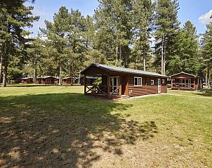 Guest house 054754 - Holiday property Limburg - Mooi Zutendaal | 4-6-persoons chalet | 4-6B