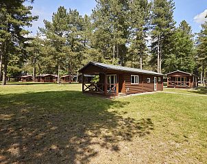 Guest house 054754 - Holiday property Limburg - Mooi Zutendaal | 4-6-persoons chalet | 4-6B