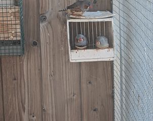 Unterkunft 055005 - Ferienhaus Limburg - 't Akkers