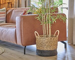 Guest house 055015 - Chalet Limburg - Veldzicht