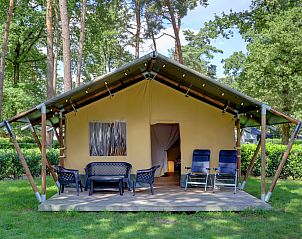 Unterkunft 055017 - Zelthaus Limburg - Safaritent