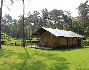 Unterkunft 055021 • Zelthaus Limburg • Safaritent + sanitair + glijbaan 