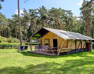 Unterkunft 055021 - Zelthaus Limburg - Safaritent + sanitair + glijbaan