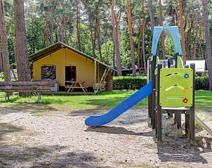Unterkunft 055021 - Zelthaus Limburg - Safaritent + sanitair + glijbaan