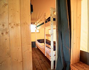 Unterkunft 055021 - Zelthaus Limburg - Safaritent + sanitair + glijbaan