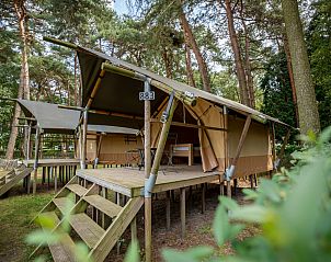 Unterkunft 055022 - Zelthaus Limburg - Duo Lodge