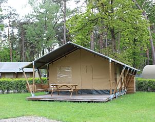 Unterkunft 055023 - Zelthaus Limburg - Safaritent + sanitair