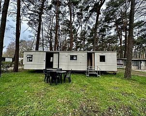 Guest house 055032 - Holiday property Limburg - Goolderheide 1