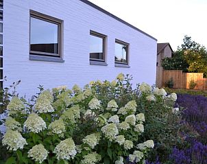 Unterkunft 055101 - Ferienhaus Limburg - Huisje in Helchteren